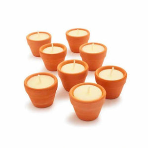 CITRONELLA MINI PLANT POT 12 HRS