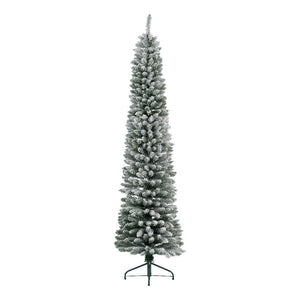 7FT SNOWY PENCIL PINE Tree