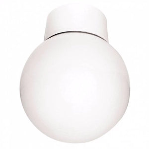 CEF ROBUS BATHROOM GLOBE 60W