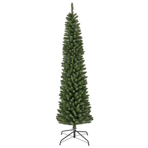 7FT PENCIL PINE Tree