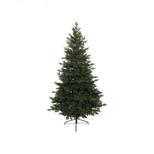 KINGSTON PINE 2.1M ( 7') Tree